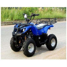 사륜오토바이 125cc atv 사륜 오토바이 소형 레저 사륜바이크 다목적, 리틀 불 세트 1