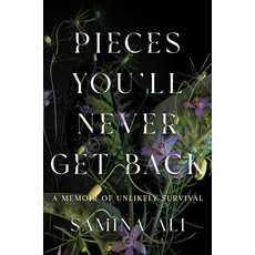 (영문도서)Pieces You'll Never Get Back: A Memoir of Unlikely Survival Hardcover, Catapult, English, 9781646222612