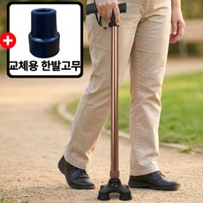 비앙디 노인지팡이 초경량 네발안정 보행지팡이 효도템, 1개, 브라운
