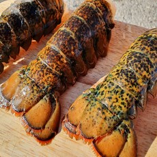 미식해 캐나다산 랍스터 테일 1미(110~140g내외), 1개, 110~140g 내외