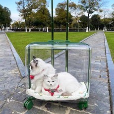 반려견 케 이동장 여행 훈련 기내 대형켄넬 바퀴 카시트 퍼플 롱백 캡슐 애견, 라지 베아나 그린[50x28x45cm], [쿠션 증정], 1개