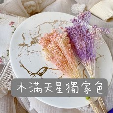乾燥花素材-義大利進口金雀木滿天星雙喜紫藤花乾燥花束，鄉村風手作卡片攝影道具捧花新娘頭圈, 雙喜紫藤花5-6g零售, 1個