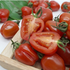 신품종 달콤 쫀득 루비벨 토마토 방울토마토 국내산, 1박스, 2kg