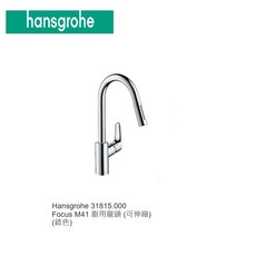 Hansgrohe 漢斯格雅 31815000 Focus M41 伸縮花灑龍頭 廚房用水龍頭 鉻色, 1個