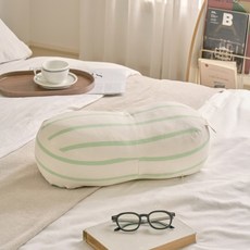 모던하우스 말랑핏 극세사 미니 멀티쿠션, 크림베이지