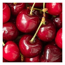 칠레산 생 체리 9.5row (개당28mm) 700g/2개주문시 1.6kg발송181486, 칠레산 생 체리 9.5row (개당28mm) 700g/