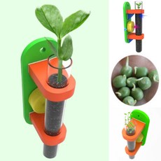 시험관 벽걸이 화분 만들기 쌍떡잎 식물 씨앗발아 괸찰 키우기 (완두콩 LED형 1인용)