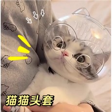 臺灣現貨 貓咪太空頭套 寵物頭套 伊莉莎白頭套 防舔頭套 貓咪防咬太空球罩 寵物用品, 1個, 【小號】貓頭套（5-10斤）,防摔材質