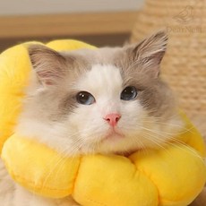 디어네스트 고양이 넥카라 소형