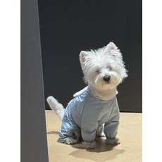 푸들 말티즈 강아지 옷 산책용 오염방지 올인원, 1. 그레이, M