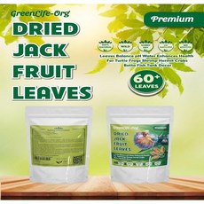 GR 프리미엄 잭프루트 잎 40개입 수족관용 천연 건조 통잎 수족관 수질 개선 및 타닌 수치 향상 새우와 베타 물고기에 적합 (40개입), 60 Leaves