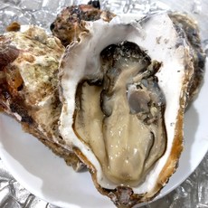 [싱싱냠냠] 프리미엄 삼배체굴 대왕굴 통영생굴 석화굴 바위굴, 1박스, 1kg(2-4미)