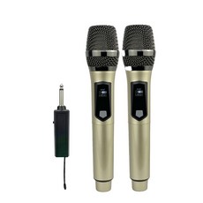 無線雙麥克風套裝，UHF無線傳輸，DSP智能降噪，Type-C充電迷你接收器, 香檳金, 新升級版-一拖二麥克風