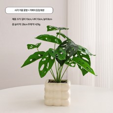 미니 인조 화분 세트 다용도 데스크 가성비 책장 인테리어 식물 촬영 소품, 1개, 4_거북등잎 그린 식물 모조