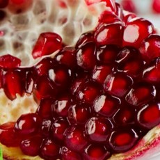 탐나유 프리미엄 석류 생석류 생과일, 1개, 1kg 내외