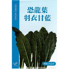 興農種苗 恐龍葉羽衣甘藍種子，高發芽率，新手適用，陽台盆栽蔬菜, 1個