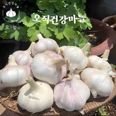 25년 국내산 건강한 통마늘 1kg / 3kg, 1개, 통마늘1kg