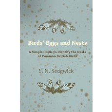 (영문도서) Birds' Eggs and Nests - A Simple Guide to Identify the Nests of Common British Birds Paperback, Landor Press, English, 9781447412601
