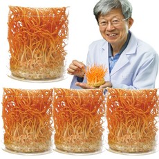 성재모 현미 동충하초 무농약 GAP 품종보호등록 생초(80g) 4병, 80g, 4개