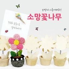 [HRD샾] 소망꽃나무, 소망꽃나무 1개, 1개