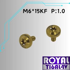 ROYAL 鈦合金 M6*15KF P:1.0 大飛碟頭螺絲, 1個