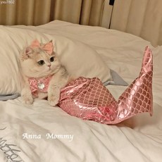 貓咪美人魚變裝搞笑貓貓魚尾巴造型可愛比基尼狗狗夏寵物衣服泰迪, 粉色【頭飾+胸飾+尾巴三件套】,均碼（建議2.5-8.0kg內）, 1個