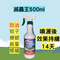 滅蟲王 噴霧式殺蟲劑 500ml 殘效除蟲, 1個