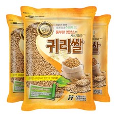 현대농산 수입 귀리, 3개