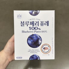밸런스그로우 블루베리 퓨레 100프로 코스트코 스틱, 80개, 20g