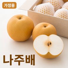 라이프메모 국내산 나주배 신고배 당도선별 산지직송 가정용 가정용3kg 5kg, 1박스, 가정용 5kg