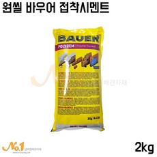 원씰 바우어 Bauer 콘크리트 보수 벽돌조적 소포장 몰탈 접착제 다용도 메꿈 회색, 1개
