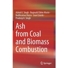 Ash from Coal and Biomass Combustion Hardcover, Springer