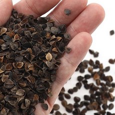 [국내산] 메밀껍질 천연 메밀베개 충전재, 1개