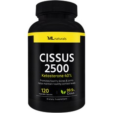 마이라이프 시서스 2500 120캡슐, 1개, 120정