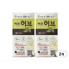 광동제약 내가 그린 빠른 허브 파우치 염모제, 1호 진한흑색, 2개