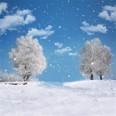 스튜디오배경지 유튜브 설산 설경 촬영 프레임, 1.5x2m, 1개, 오렌지