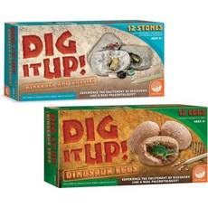 MindWare 화석 만들기 키트 교구 과학 마인드웨어 파헤치기 공룡 알과 광물석 발굴 2종 세트 Q1196353