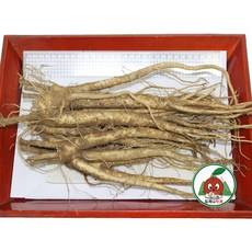 청정 영주소백산 도라지 깐도라지 산지직송, 1개, 약도라지(흙)특상품_1kg