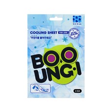 부엉이 레그 쿨링 시트 2매입 쿨링패치