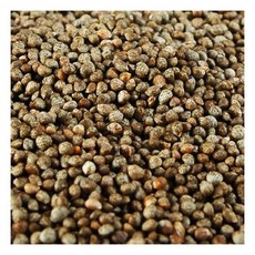 고흥 고소한 통들깨 300g, 1개