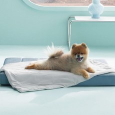여름 냉감 패드 애견 쿨링방석 중형견용 Bedsure 프리미엄 쿨링 블랭킷 QMAX0.5 통기성 세탁 가능 차가운 반려동물 던지기 더운 날씨 위 부드러운 내구성 셀프 고양이 매, Pearl Grey, S(25x35")