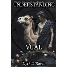(영문도서)Understanding Vual Paperback
