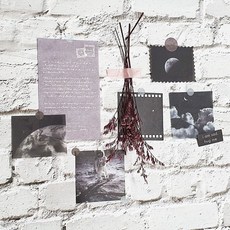 포인트 장식 카드 우주pjy6+8tOu