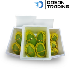 베트남 그린망고 (Vietnam Green Mango), 1박스, 1.0kg (베이비)