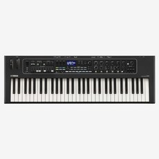YAMAHA CK61 舞台電子琴, 1個