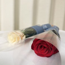 오후의 꽃 생화 꽃 한송이 카네이션 장미 칠순 돌 답례품 선물, 1개, 장미 연한색