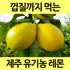 [통째로 레몬] 제주 친환경 무농약 유기농 레몬 3kg 5kg 껍질까지 통째로 먹는 레몬, 1박스, (일반) 유기농 1.5kg