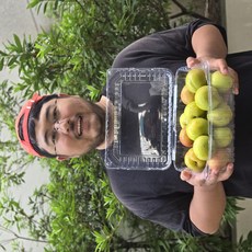 [상위1%생산자직송] 고당도 경북 가을 추희자두, 1개, 중소과2kg