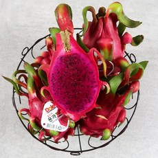 적용과 레드용과, 1개, 2.5kg 내외(3-5과)