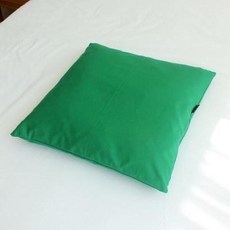아트박스/샤이닝홈 팬톤 소파 쿠션(솜포함) 50x50 I그린 2P